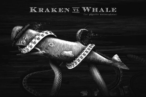 Кракен krakens13 at